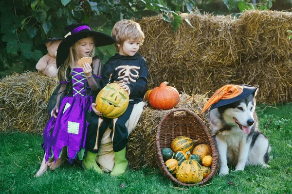Cadılar Bayramı çocukları bahçede balkabağıyla parti veriyor. Cadılar Bayramı partisinde mutlu çocuklar. Cadılar Bayramı çocukları tatil konsepti. — Stok fotoğraf