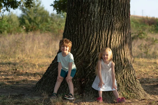 Happy Kid på sommaren fält. Söta småbönder-syster och bror som arbetar med Spud på våren fältet. Jordbruk och jordbruk odling. Två unga jordbrukare. Söt barndom. — Stockfoto