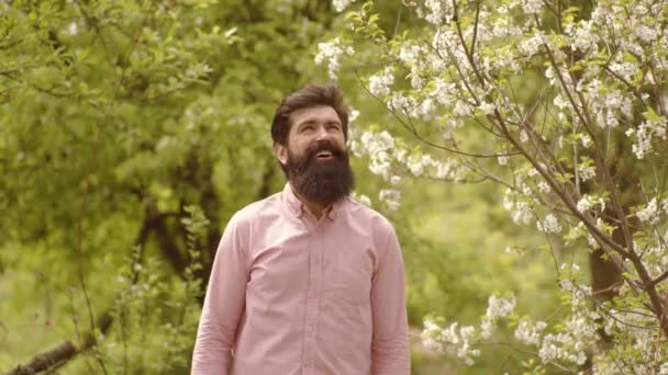 Bearded Man boer werken op Spring Field. Boer man in dorp op boerderij. Eco-boerderij-eco living. Lente bebaarde man in bloeiende tuin. Groene grasveld landschap. American Farm Life. — Stockvideo