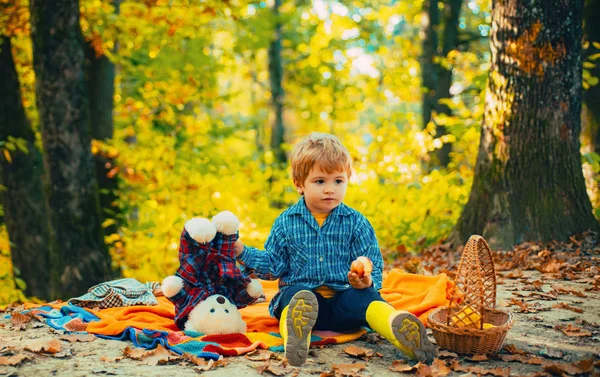 Παιδική φιλία και πρώτη αναμνήσεις. Κάμπινγκ με παιδιά. Μικρό αγόρι σε μοντέρνα ρετρό μπλε πουλόβερ ή πουλόβερ. — Φωτογραφία Αρχείου