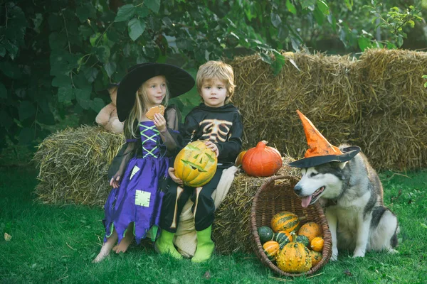 Zabawna grupa przyjaciół dzieci w kostiumie na Halloween. Szczęśliwego Halloween, słodkie dziecko dziewczyna i chłopiec gra na świeżym powietrzu. — Zdjęcie stockowe