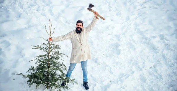 Aufgeregter Holzfäller trägt Tanne im weißen Schneehintergrund. Lustiger Weihnachtsmann posiert mit Axt und Weihnachtsbaum. Junger Holzfäller fällt Weihnachtsbaum im Wald. — Stockfoto