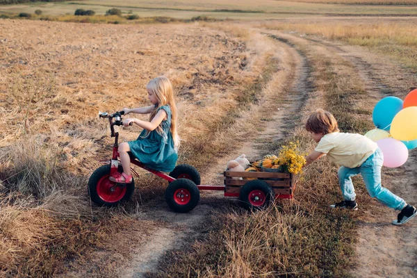 Crianças pequenas bonitos andar de bicicleta no dia ensolarado de outono. Lazer familiar ativo com crianças. As crianças gostam na fazenda. Dia da Terra. Filha e filho trabalhando na fazenda . — Fotografia de Stock