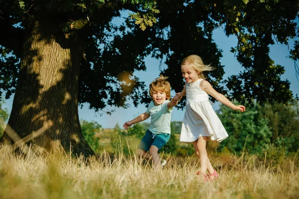 Los niños corren en el campo. Niños felices niña y niño corriendo en el prado en verano en la naturaleza. Pequeños agricultores felices divirtiéndose en el campo. Linda niña y niño trabajando en la granja al aire libre . — Foto de Stock