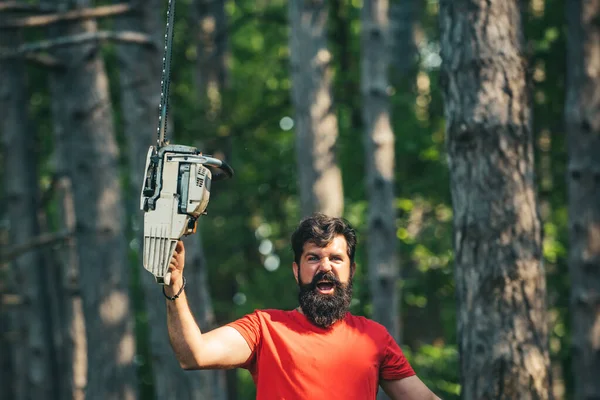 Orman arka planında elektrikli testere olan oduncu. Ormanda testere ile kereste işçisi. Adam işini yapıyor. Yaz ormanında baltayla ya da testere ile oduncu. — Stok fotoğraf