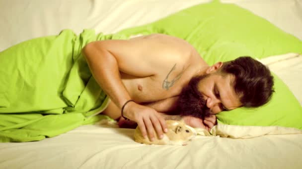 Młody człowiek śpiący w łóżku ze świnką morską w domu. Przystojniak w łóżku. Porcelana cavia. — Wideo stockowe