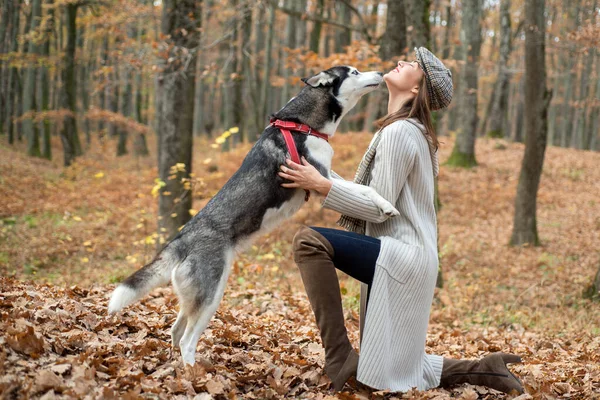 Mulher bonita usando chapéu e suéter beijando seu cão. Menina com seu animal de estimação relaxante lá fora. Outono . — Fotografia de Stock
