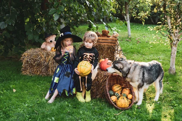 Trick-or-treat kinderconcept. Fijne Halloween. Jack-o-lantaarn. Kinderen in Amerika vieren Halloween. Verrast groep kleine zombie in Halloween kostuum eten traktatie, calaverita snoep kaarsen. — Stockfoto