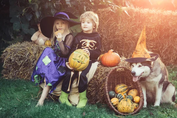 Happy Halloween Dzieci dziewczyna i chłopiec siedzieć na sianie lub słomy na łące jesienią. Halloween dzieci korzystających w jesiennym parku na polu. — Zdjęcie stockowe