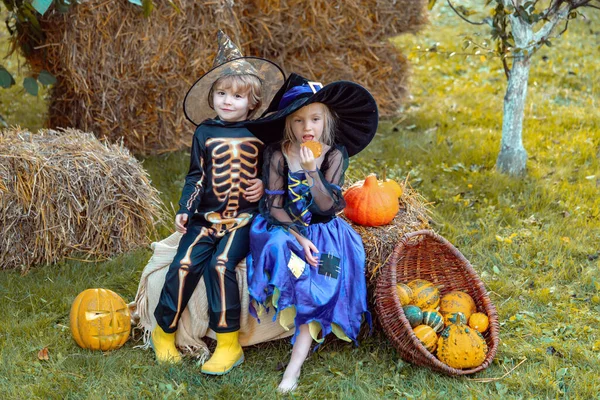 Enfants mignons portant des costumes d'Halloween s'amuser sur la célébration d'Halloween. Fête d'Halloween avec des enfants portant des costumes d'Halloween . — Photo