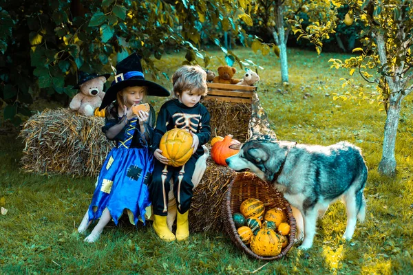 Cadılar Bayramı partisinde çocuklar Cadılar Bayramı kostümü giyiyordu. Tatlı mumlarla Cadılar Bayramın kutlu olsun. İskelet ya da cadı gibi iki çocuk Şeker ya da Hediye İçin Hazır. — Stok fotoğraf