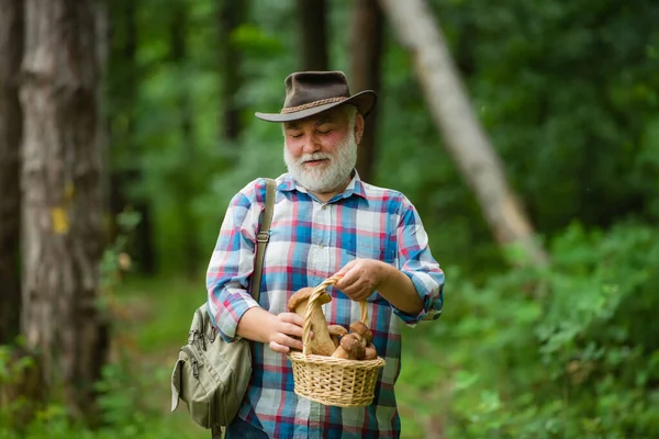 Senioren sammeln Waldbeeren und Pilze im Nationalpark-Wald. Pilzsammler. Großvater. — Stockfoto