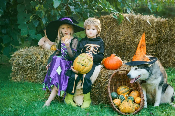 Halloween kinderfeestdagen concept. Vrolijk Halloween, schattig peuter meisje en jongen die buiten spelen. Halloween snoepjes. Halloween portret van gelukkig schattig kind. — Stockfoto