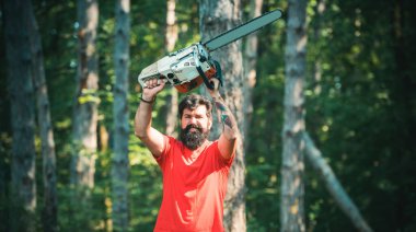 Oduncu işçi ormanda elektrikli testereyle yürüyor. Sakallı yakışıklı bir genç adam ağaç taşıyor. Ciddi yüzdeki oduncu elektrikli testere taşır. Oduncu kavramı.