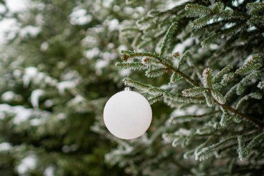 Karla kaplı bir köknar dalında beyaz top. Xmas dekorasyonu - yumuşak. Klasik ton.
