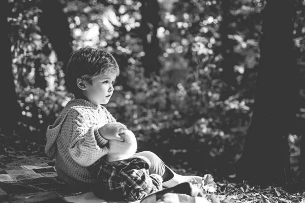 Pojke söt barn leka med Teddy Bear Toy Forest bakgrund. Picknick med nallebjörn. Vandring med leksak. Lilla turist. Oskiljaktig med leksak. Barn tog favorit leksak till naturen. Utforska naturen tillsammans — Stockfoto