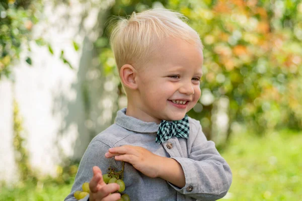 Kleine jongen geniet van het leven en de natuur. Hij is gelukkig. Gelukkige kleine jongen. Kind buiten in de natuur. Jongen in pak en strikje. — Stockfoto