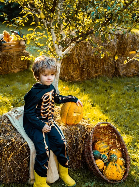 Een jongen die op de hooiberg zit. Gelukkige jeugd. Gelukkige jongen in kostuum op een feest van Halloween. Fijne dag.. — Stockfoto