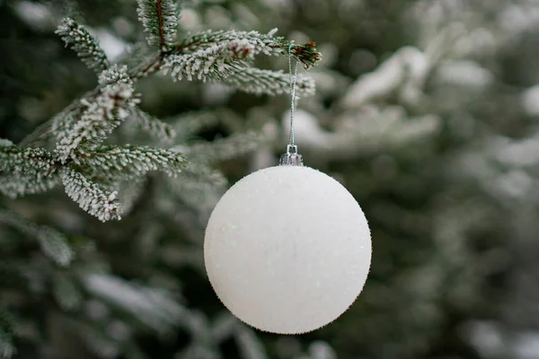 Beautiful winter landscape with forest trees and sunrise. Christmas greetings. Pine trees covered with snow. Glass ball. Christmas holiday celebration concept. Christmas ball on the branches fir. New — Stock Photo, Image