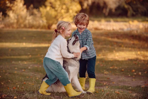 Meisje en jongetje met hondje op verkenning naar de natuur. Kinderen met een hond wandelen langs de natuur. Peuters leeftijd. Kleine kinderen in het dorp. — Stockfoto