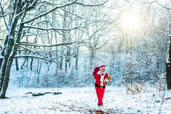 Stromy v zimním parku pokryté sněhem. Otec Vánoce přináší dárky dětem. Dědeček Santa chodí lesem. — Stock fotografie