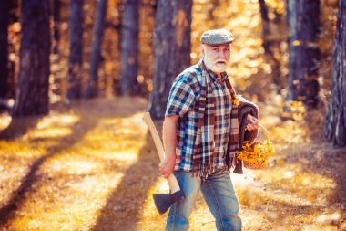 Yaşlı turistler ormanı keşfeder. Yaz kampı. Baltalı yaşlı sakallı adam. Dışarıdaki yaşlı sakallı adam. Yaşlı adam sepetten çiçek topluyor. Yaşlı komik ormancı. Güzel güneşli hava.
