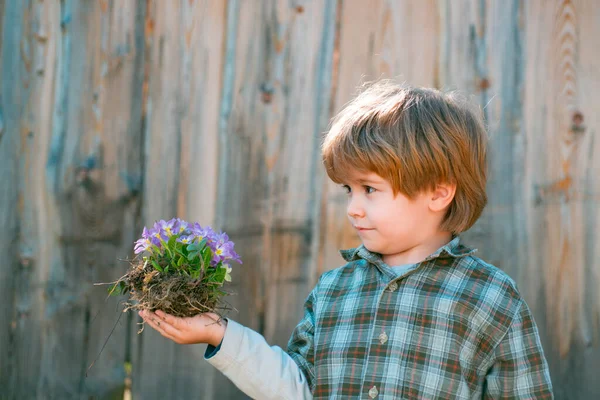 Menino pequeno jardinagem e se divertindo no quintal da primavera. Criança plantando flores em vaso . — Fotografia de Stock