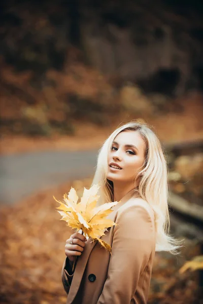 Menina atraente vestindo casaco bege acolhedor andando no parque dourado outonal. Charmoso linda loira olhando sonhador em uma câmera e segurando amarelo outonal caído folhas . — Fotografia de Stock