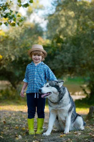 Macera ve tatiller çocuk konsepti. Çocuklar ve köpek doğa arka planında. Tasasız çocukluk. Çocuklarla ve evcil hayvanlarla doğa yürüyüşü. Tatlı köpekli komik çocuk..