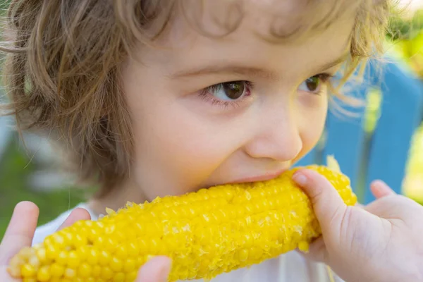 Close up de criança adorável comendo milho doce. Menino criança comendo milho amarelo com peito nu e rosto engraçado, fundo natureza verde. Milho orgânico fresco . — Fotografia de Stock