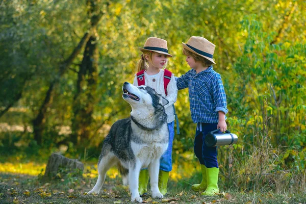 Kids Love story. Happy little couple kids and dog together as friends as love of animals concept. Happy little children having fun with dog pet on field.