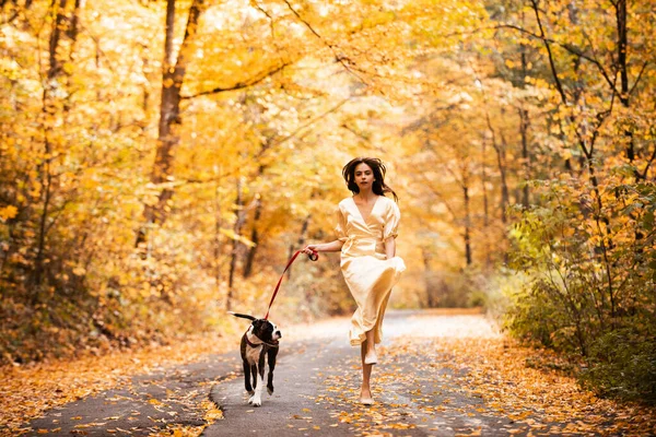 Floresta de outono. Mulher com cão está correndo sobre uma estrada florestal. Jovem alegre menina bonita feliz. Mulher bonita andando com seu cão na floresta. Isolado na natureza . — Fotografia de Stock