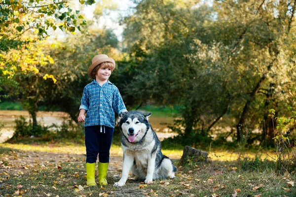 Αστεία παιδιά αγόρι με το σκύλο βόλτα μαζί στο πράσινο πεδίο. Περιπέτεια και διακοπές έννοια των παιδιών. Τα παιδιά κάνουν πεζοπορία μαζί με το σκυλί συντροφιάς. Παιδιά με χαριτωμένο σκυλί. — Φωτογραφία Αρχείου