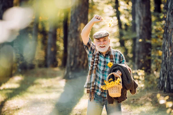 Aged man pick flowers in basket. Portrait of aged man with beard. Funny grandfather in hat in forest. Old tourist explore forest. Smiling old man. Woodman in forest. — Stock Photo, Image