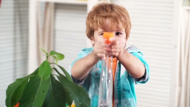 小孩在花盆里喷洒植物.照顾家庭植物的孩子男孩在家里照看植物，用喷雾瓶喷出的纯净水喷洒植物。室内盆栽栽培及护理 — 图库视频影像