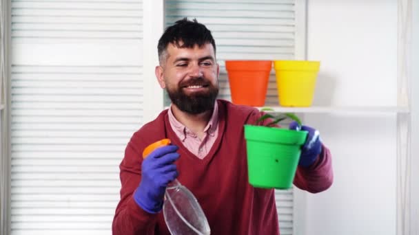 Skäggig man håller kruka med en växt och sprayar växter i blomkrukor. Mannen som tar hand om krukväxten. Far tar hand om växter hemma, sprutar en växt med rent vatten från en sprayflaska. — Stockvideo