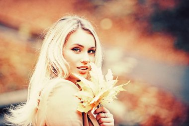 Çekici, güzel, sarışın, kameranın içinde rüya gibi görünüyor ve sarı sonbahar yaprakları tutuyor. Çekici kız rahat bej ceketli Sonbahar altın parkında yürüyor.