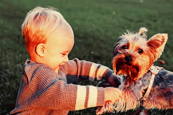 Gelukkige baby jongen heeft plezier met het spelen met kleine puppy hond in de herfst park. Glimlachend baby kind met blond haar speelt op mooie zonnige herfstavond. Het begrip "jeugd". — Stockfoto