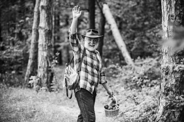 Mantar topluyorum. Yaşlı adam yürüyor. Büyükbaba Emeklisi. Ormanda son sınıf yürüyüşü..