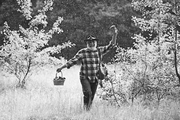 Heureux grand-père - été et passe temps. Vieil homme marchant sous la pluie. Grand-père pensionné. Randonnée pédestre en forêt . — Photo