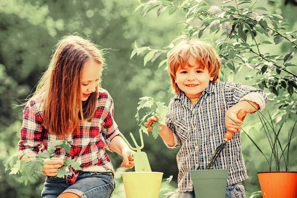 子供たちはポットに花を植える。夏の畑の幸せな子供たち。農場の子供や野菜。農場で楽しむかわいい子供たち. — ストック写真