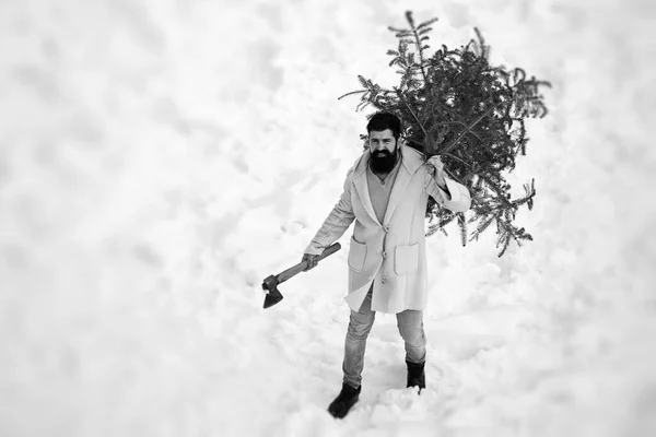 Weihnachtsmann mit Axt im Winter. Bärtiger Mann mit frisch gefälltem Weihnachtsbaum im Wald. Winterszene. Hipster-Weihnachtsmann. Weihnachten und Winter. — Stockfoto