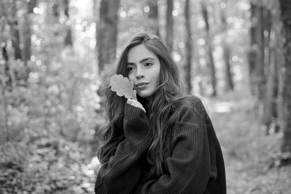 Retrato ao ar livre Linda menina modelo morena com luz do dia ensolarada. Árvore de outono. menina bonito em bom humor posando no dia de outono. Conceito de liberdade . — Fotografia de Stock