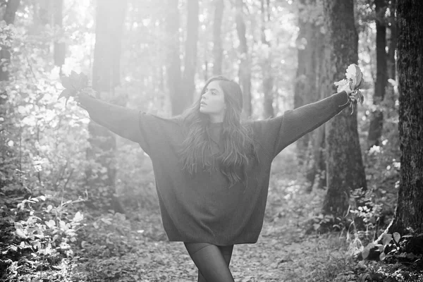 Őszi lány. Őszi hangulat. Női őszi divat koncepció. Szabadság koncepció. Gyönyörű, fiatal, boldog lány, élénk vörös-sárga levéllel a parkban. Sárga fák és levelek. — Stock Fotó