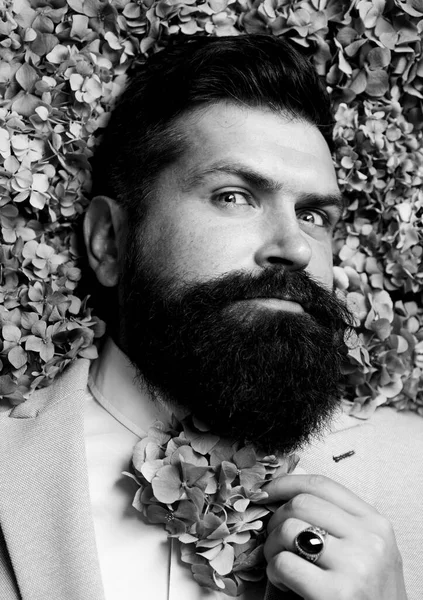 Blütenbärte. Bärtiger Mann, hautnah. Schöner Mann mit langem Bart. — Stockfoto