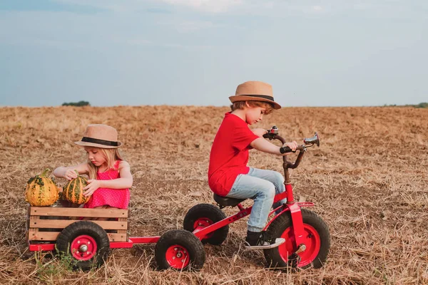 Dumm gelaufen. Entzückende Kinder, die Spaß haben. Kleines Kind im Freien. Porträt eines glücklichen Kindes. Glückliche Mädchen und Jungen auf dem Feld. Mir geht es nur um Spaß. Kleine Mädchen und Jungen genießen Spaziergang. — Stockfoto