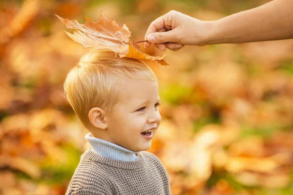 Criança no parque de outono. Bela criança em suéter na natureza de outono. Criança feliz ri ao ar livre no outono folhas fundo . — Fotografia de Stock
