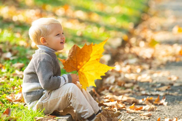 Criança de retrato de outono com folhas de bordo amarelas em fundo amarelo . — Fotografia de Stock