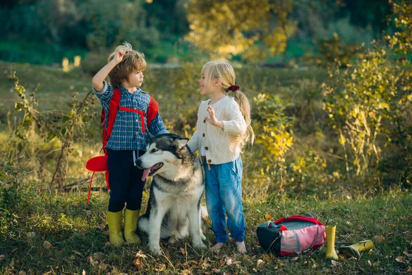 Παιδιά και σκυλιά εξερευνούν. Φύση με τα παιδιά και το κατοικίδιο ζώο. Τα παιδιά περνάνε χρόνο μαζί με ένα σκύλο στο χωράφι. Πλήρες μήκος πορτρέτο. — Φωτογραφία Αρχείου