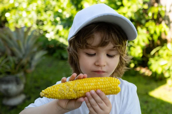 Rapaz a comer milho. Crianças com legumes, milho orgânico fresco . — Fotografia de Stock